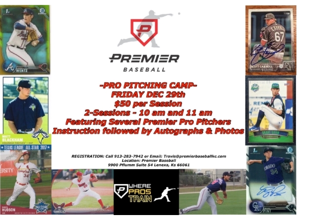 premier baseball pro pitching camp - Pro Pitching Camp