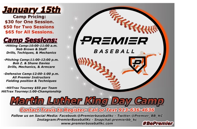 MLK baseball camp 2018 - MLK Baseball Camp 2018