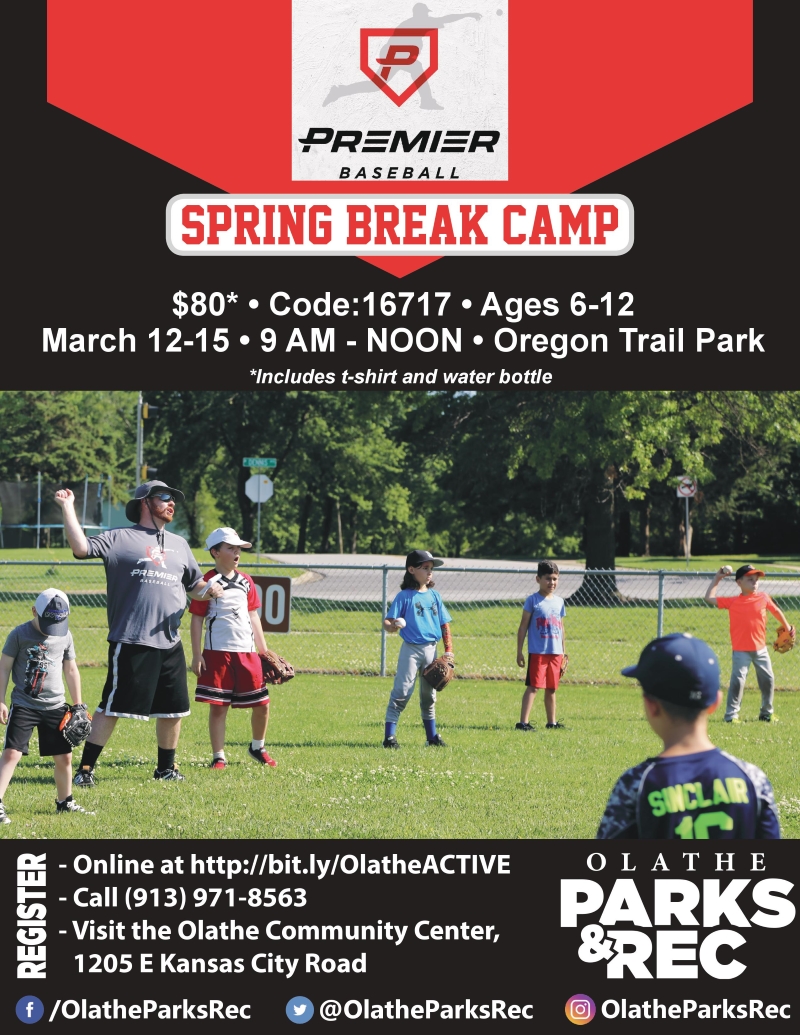 premier baseball spring break camp 2018 - Spring Break Baseball Camp 2018